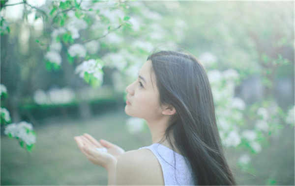 沅陵验血查男女几周可以验(验血查男女结果图)